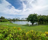Forest Hills 25 Barbados Holiday Rental Royal Westmoreland Pond Outside Property
