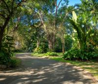Heronetta Sandy Lane Estate Barbados Driveway with Trees and Gardens