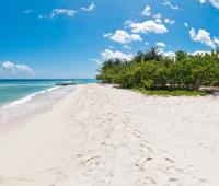 A breathtaking view of the pristine white sandy beach in front of Palm Beach 101, Barbados, with turquoise waters and lush tropical greenery.