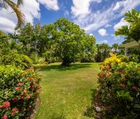 Palm Tree Villa Sandy Lane Barbados Gardens