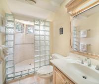149 Salters Road Barbados Holiday Rental Sandy Lane Barbados Bathroom 3 with Shower