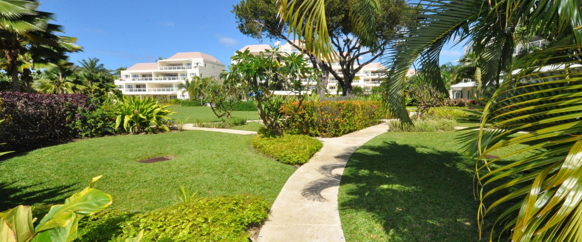 Palm Beach 211 Barbados Beachfront Vacation Condo Rental Garden Walkways