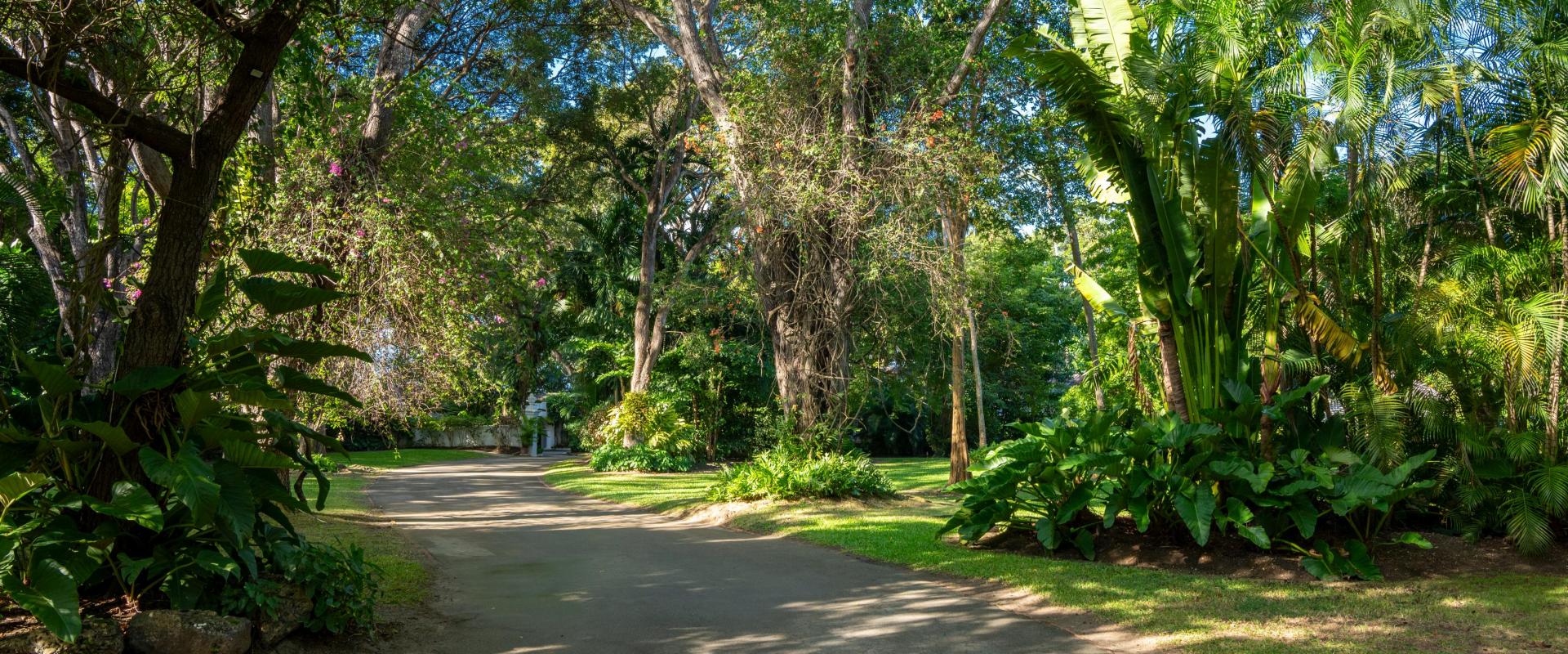 Heronetta Sandy Lane Estate Barbados Driveway with Trees and Gardens