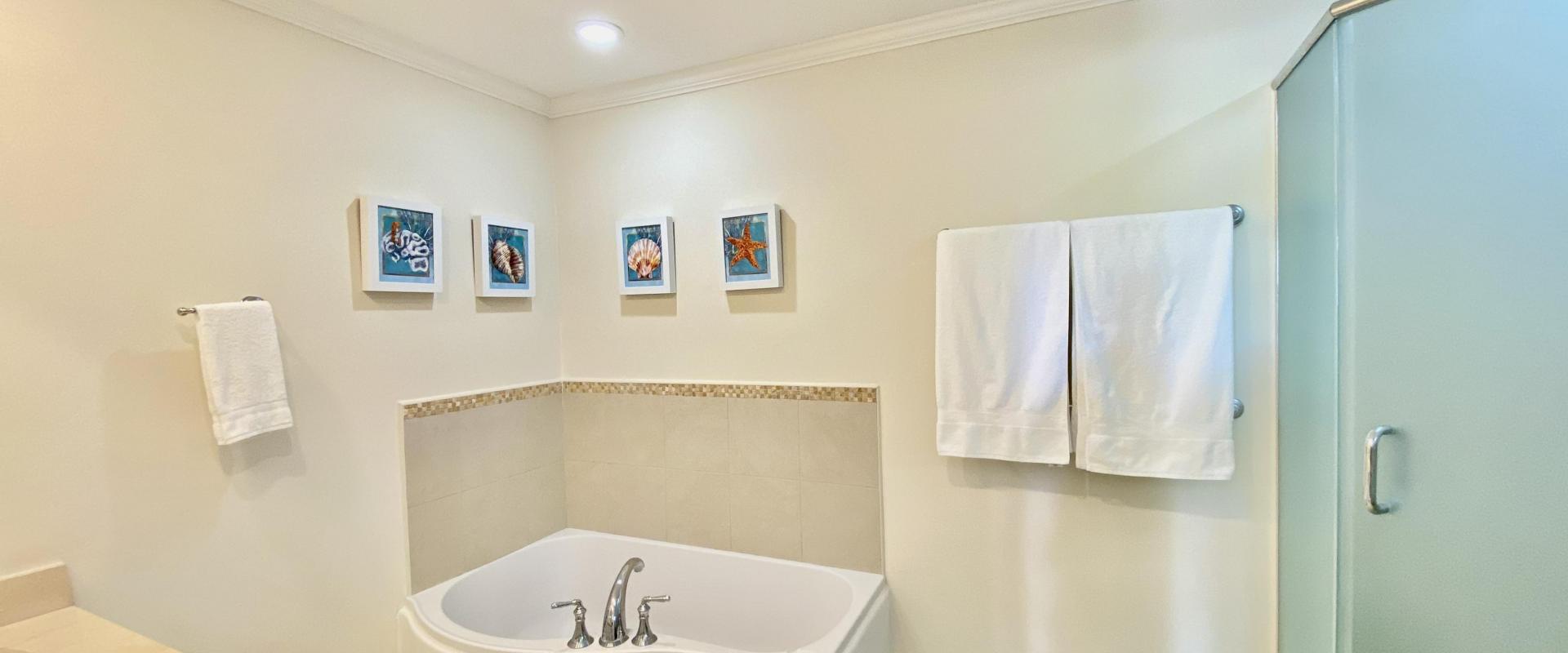 Palm Beach 211 Barbados Beachfront Vacation Condo Rental Primary Bathroom with Shower and Tub