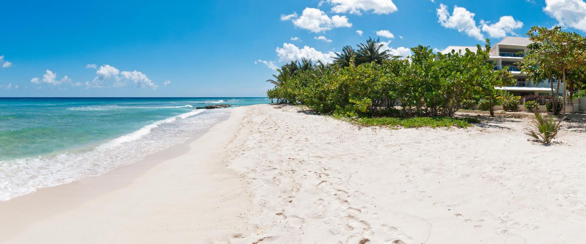 A breathtaking view of the pristine white sandy beach in front of Palm Beach 101, Barbados, with turquoise waters and lush tropical greenery.