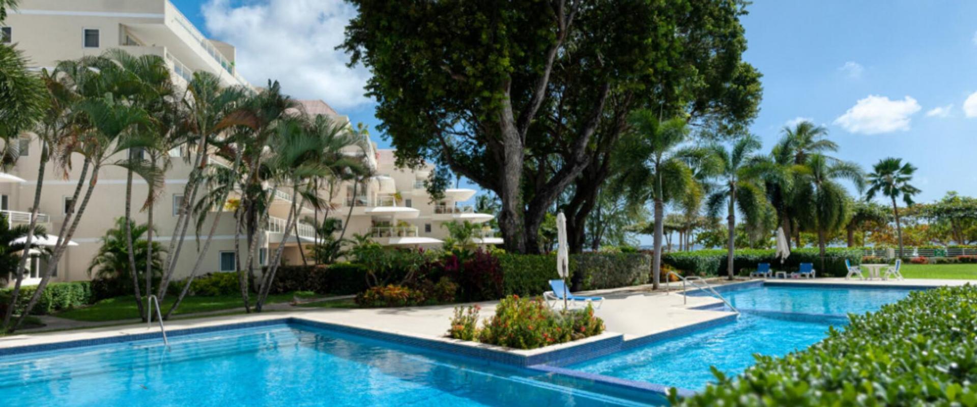 A stunning communal swimming pool at Palm Beach 101, Barbados, surrounded by lush tropical gardens, palm trees, and lounge chairs for relaxation