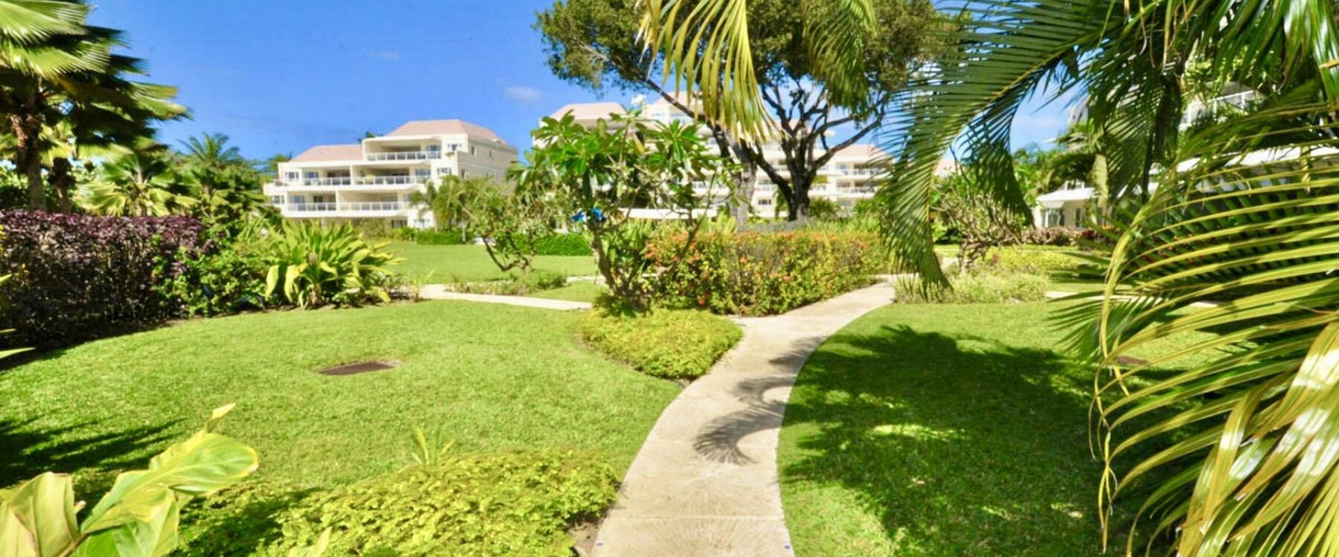 A tranquil walking path meandering through lush tropical gardens, leading towards the luxury condo residences of Palm Beach 101.
