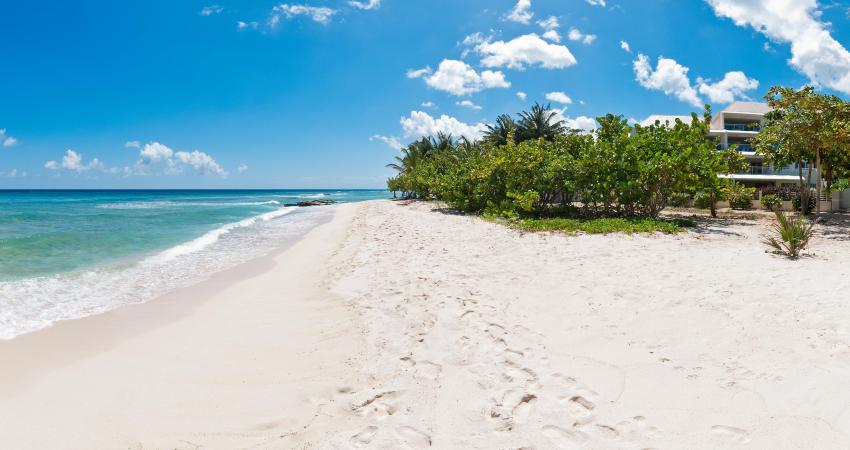 Palm Beach, Unit 502 Condominium/Apartment For Rent in Barbados
